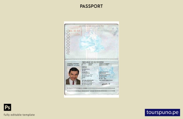 Plantilla de pasaporte de Botswana lista para imprimir